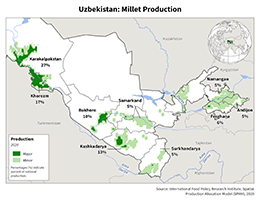 images\UZ\cropprod\Uzbekistan_Millet_preview.png